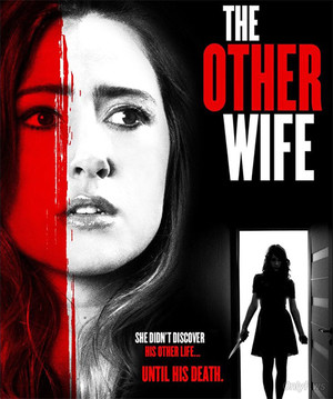 Ещё одна жена  The Other Wife 2016