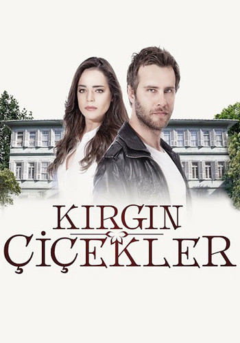 Kırgın Çiçekler 54. Bölüm смотреть онлайн